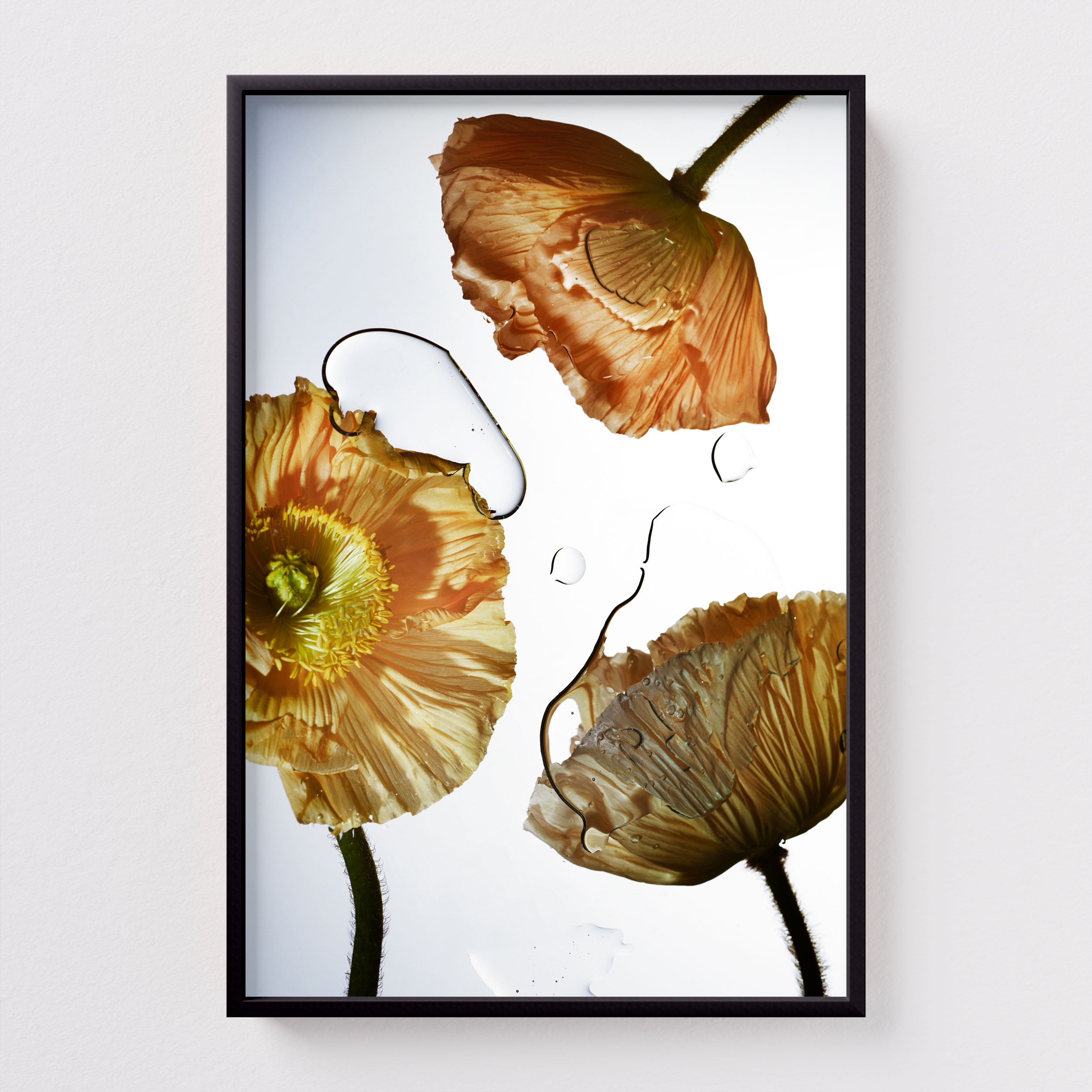 Fine Art print Liquid Dance by Sebastian Mader in black frame
