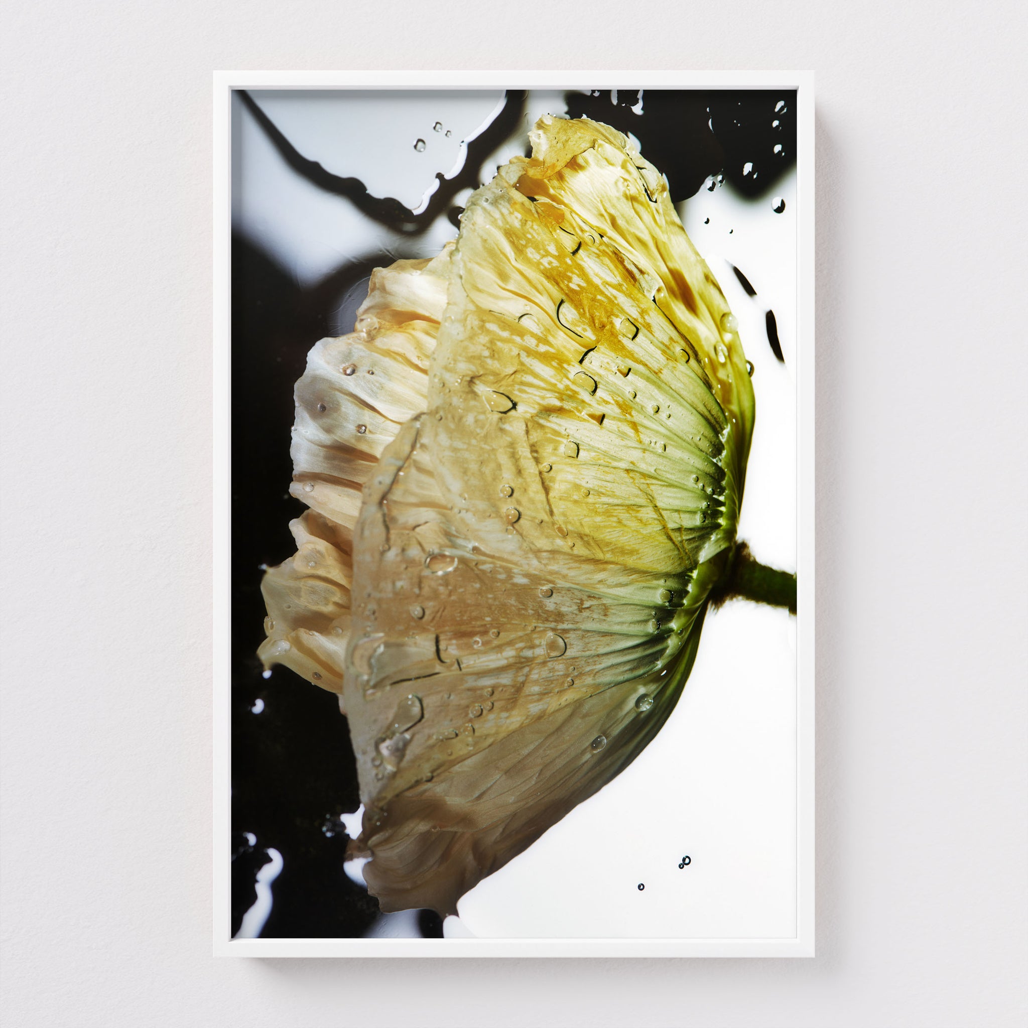 Fine Art print Liquid Pop by Sebastian Mader in white frame